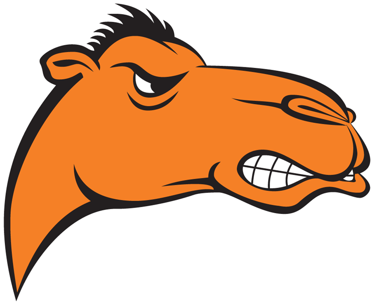 Campbell Fighting Camels 2005-2007 Alternate Logo iron on transfers for T-shirts